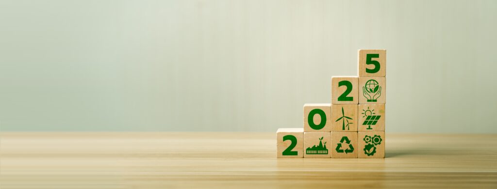 Balance Energético provisional de España 2025