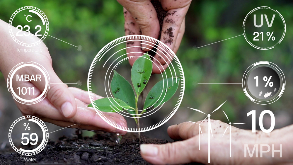 Biofertilizantes