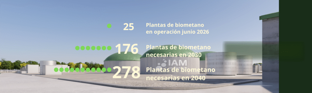 Datos del Observatorio Gasnam y PwC para la descarbonización de la movilidad