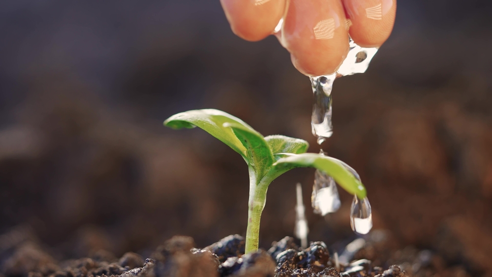 Agua recurso estratégico