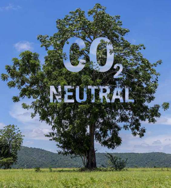 CO2 neutral written on a tree trunk, carbon neutrality concept. CO2 Net-Zero Emission