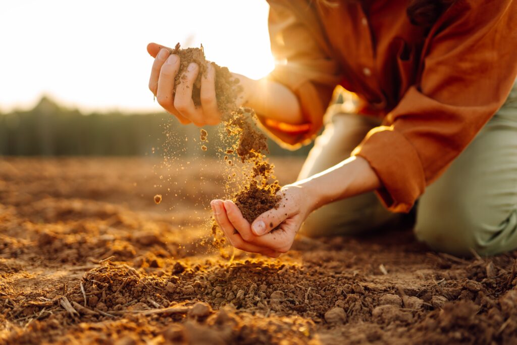 EU Action Plan on Fertilizers