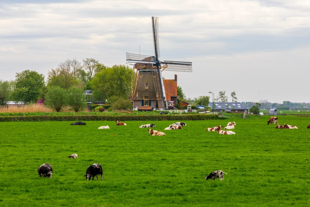 Biometano en Holanda
